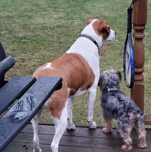 Meet your Posher, Larry